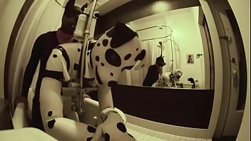 free omegele dirty pups in the hotel room video