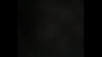 free dog stray assholes video