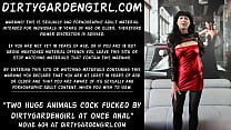 free porndh two huge animals cock fucked by dirtygardengirl at once in he anal prolapse hole video