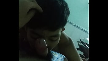 free let bot suck cock lick ass video