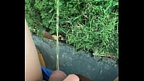 free pissing with my shorts on while walking the dog video