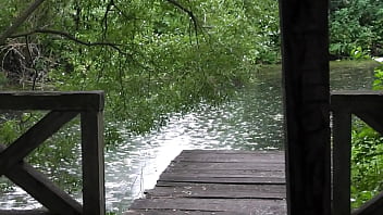 free autumn leaves video